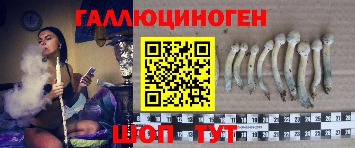 Псилоцибиновые грибы Cubensis  Псилоцибиновые грибы Magic Shrooms  Кузнецк  Вход с VPN 